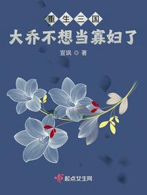 重生三国之大小乔情郎