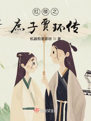红楼之庶子贾环 起点