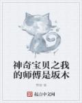 我神奇宝贝之父免费读