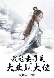 我的老婆是大律师