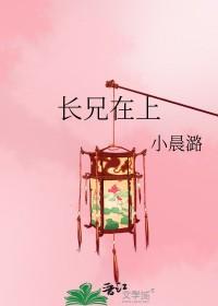兄长在上全文无防盗章