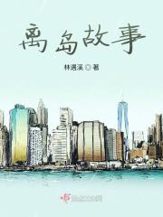 离岛日记是什么意思