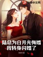 我转身闪婚了谁是男主