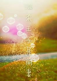 温柔公子萌妻主