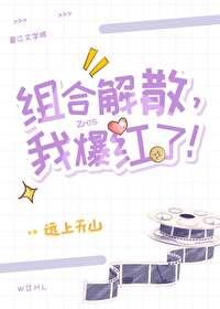 解散组合后我爆红了