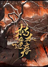枯木逢春打三个数字