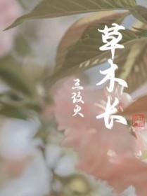 夏日草木长