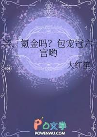 氪金吗?包宠冠六宫哟格格党