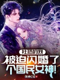 被迫闪婚了个国民女神TXT下