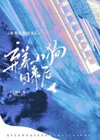 狗弃养处理