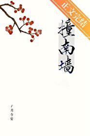 撞南墙全文免费阅读