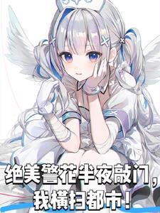 绝美警花半夜敲门