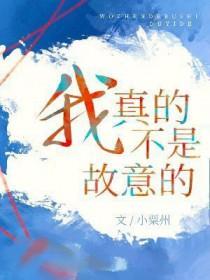 我真的不是故意的英语