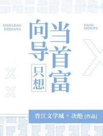 向导只想当首富TXT