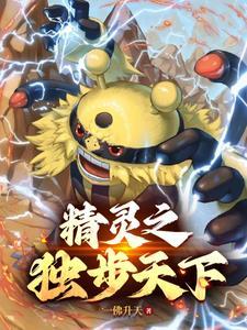 精灵宝可梦的神