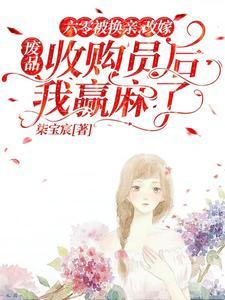 六零改嫁废品收购员后我赢麻了TXT
