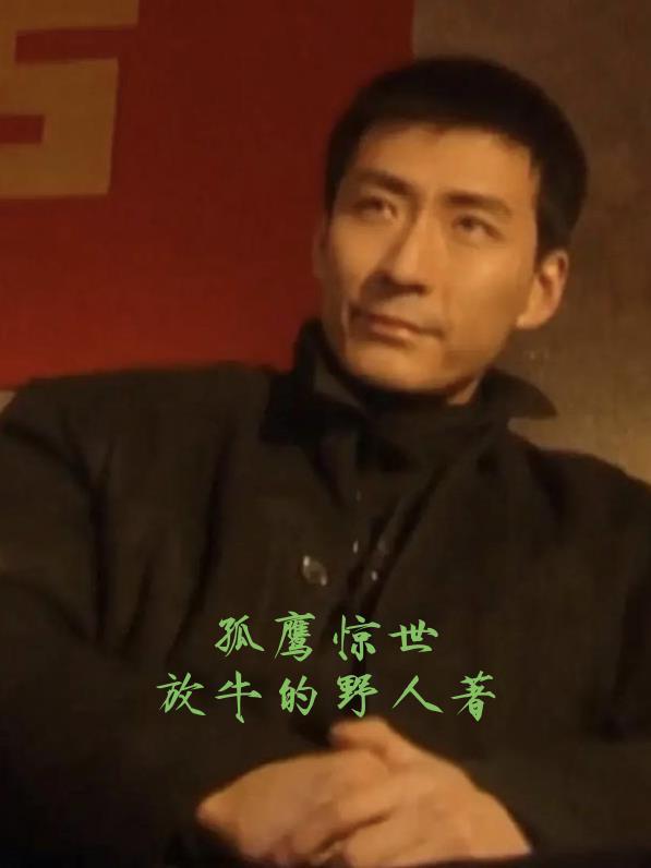 孤鹰电视剧