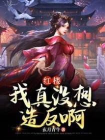 红楼我真没想造反啊免费阅读