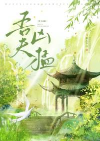 吾夫甚美免费