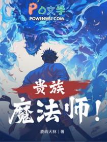 法师贵族领主类型