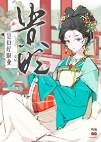 贵妃是什么职位