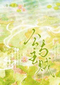 公主和盗贼的故事读后感