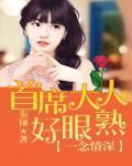 一念情深教授大人