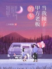 当我撞了甲方老板的车大结局