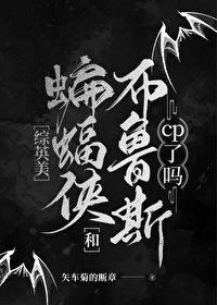 综英美大蝙蝠和布鲁斯cp了吗TXT