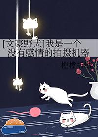 文豪野犬无cp