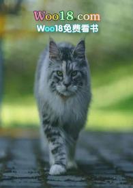 投胎成猫的