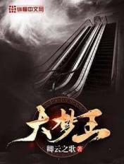 大冰大梦王继阳去北极