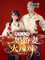 重生70年代二婚妻