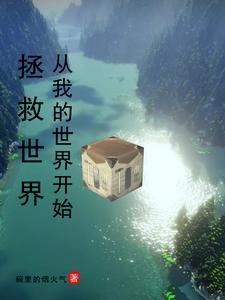 我的世界逆转未来