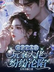 npc太软
