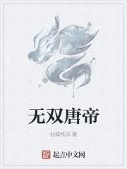 唐诗无双