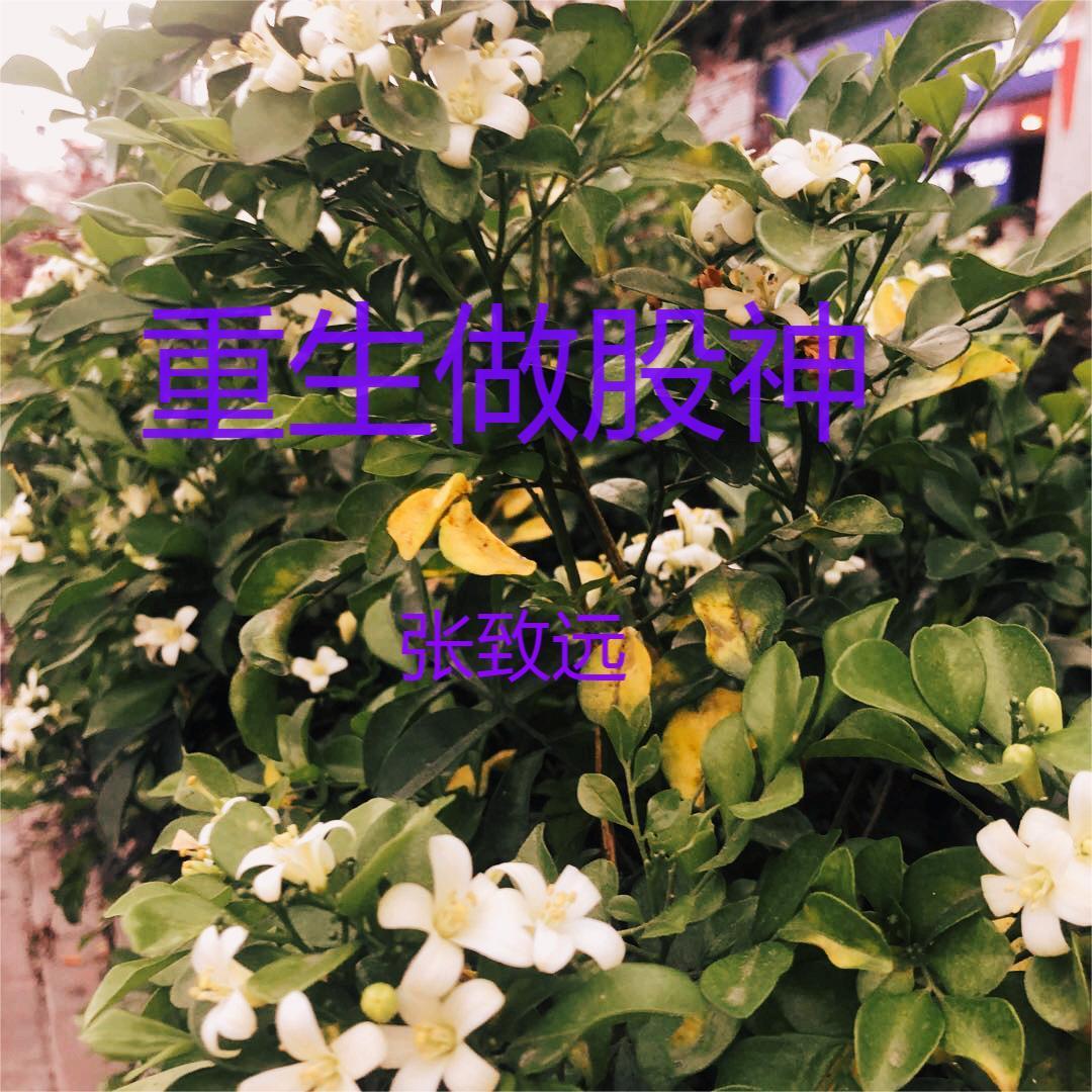 重生做股神李健是穿越了吗