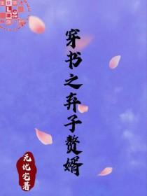 穿书之弃子赘婿北风吹