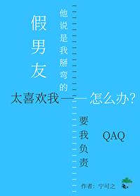 假男友3