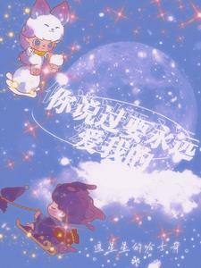 你说会永远的爱我