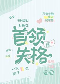 首领宰综