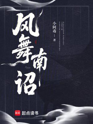 风起南诏攻略全集