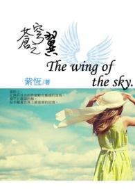 苍穹之翼染色