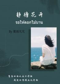 且听风吟静待花开