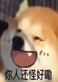 大小姐她笨笨的(NPH)无弹窗吧录鸣