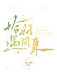 恰遇寒风似骄阳免费阅读
