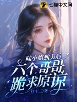 陆小姐的前夫又来求婚