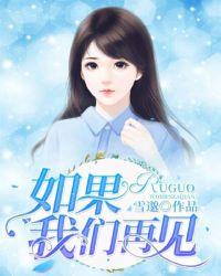 如果我们再见面我不会再少年歌词