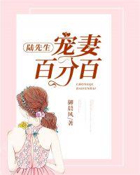 陆先生宠妻无度免费阅读