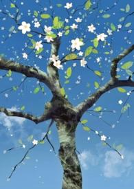 短篇优秀范文深度鉴赏